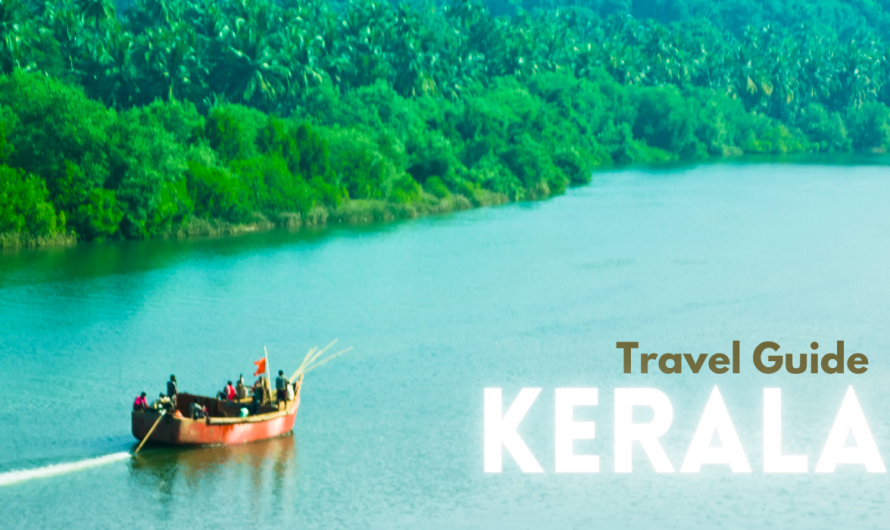 Travel Guide: All That You Need To Know About Best Time To Visit Kerala