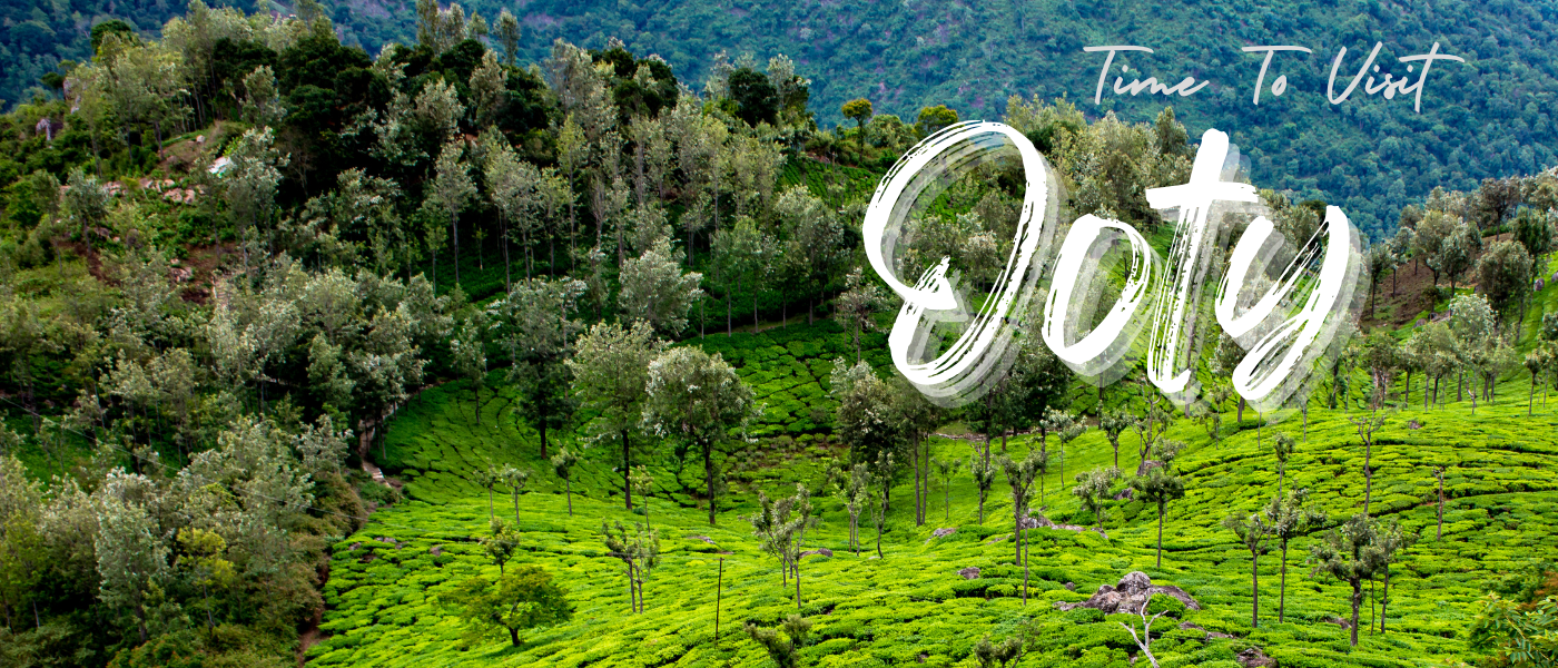 Best Time To Visit Ooty
