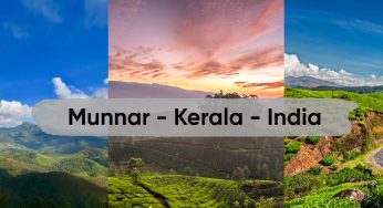 Munnar Best Time to Visit