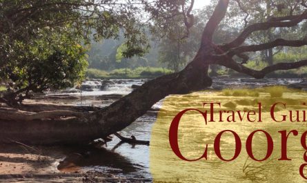 coorg best time to visit