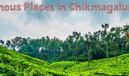 Famous Places In Chikmagalur