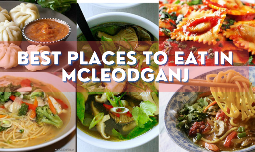 Best Places to Eat in Mcleodganj