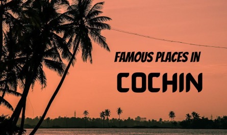 Famous Places in Cochin