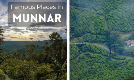 Famous Places in Munnar