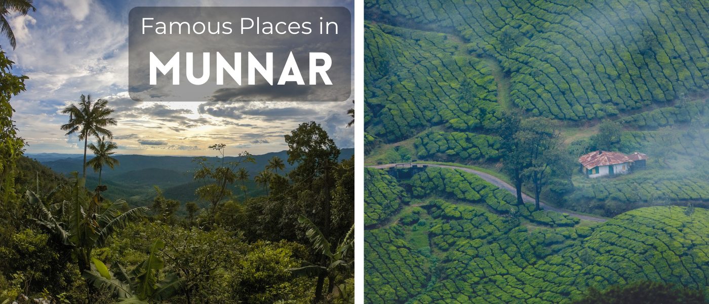 Famous Places in Munnar