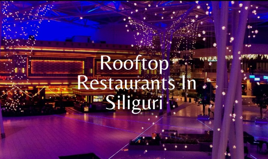 Top 10 Best Rooftop Restaurants In Siliguri