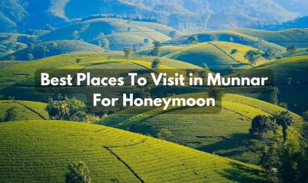 Best Places To Visit in Munnar For Honeymoon