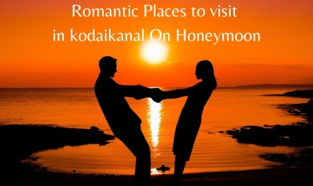 Romantic Places to visit in kodaikanal On Honeymoon