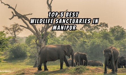 Top 5 Best Wildlife Sanctuaries in Manipur